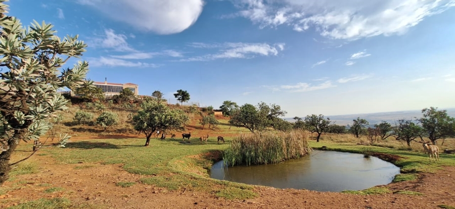 6 Bedroom Property for Sale in Protea Ridge Gauteng