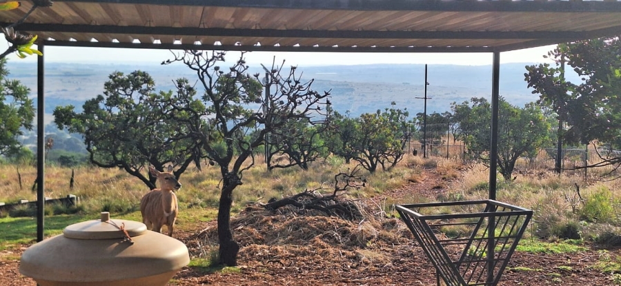 6 Bedroom Property for Sale in Protea Ridge Gauteng