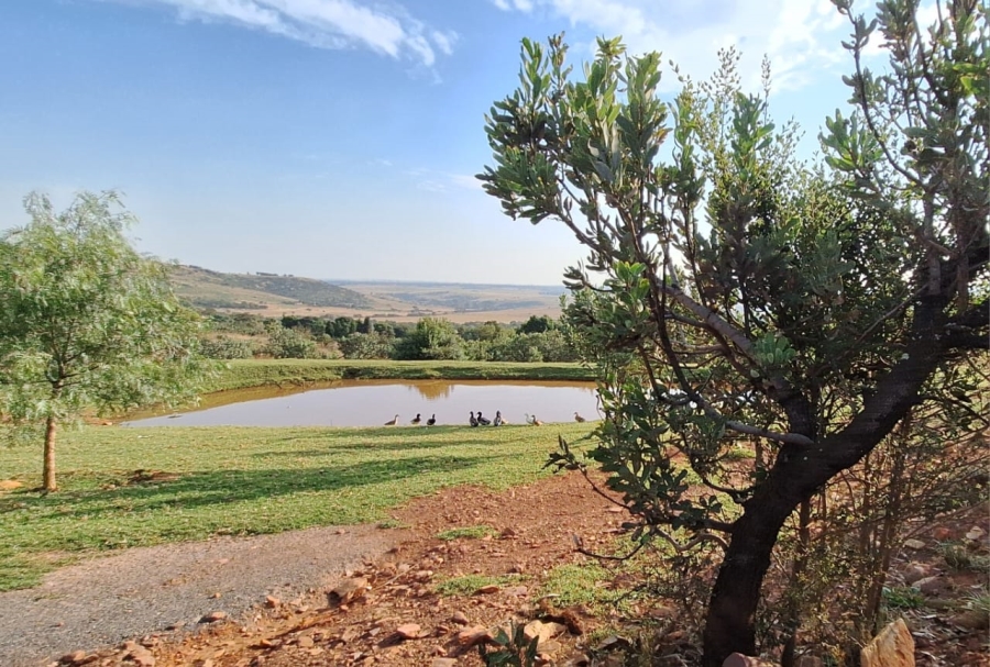 6 Bedroom Property for Sale in Protea Ridge Gauteng