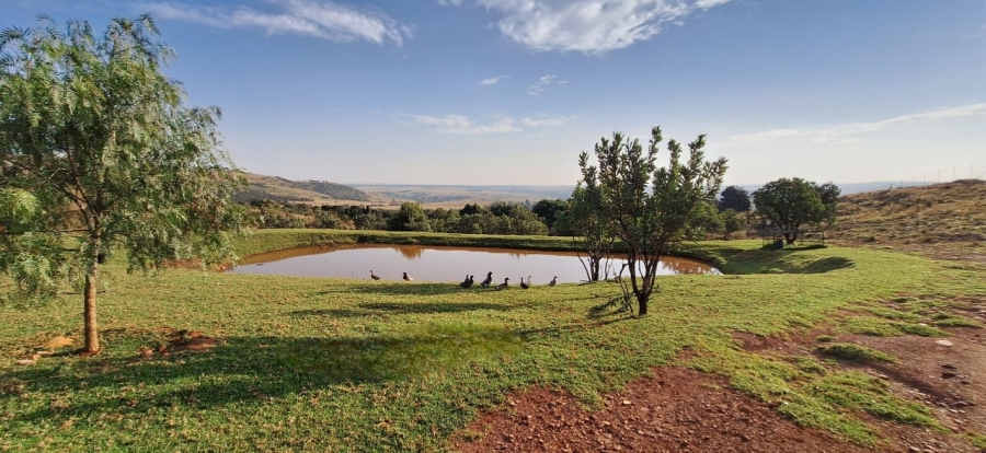 6 Bedroom Property for Sale in Protea Ridge Gauteng