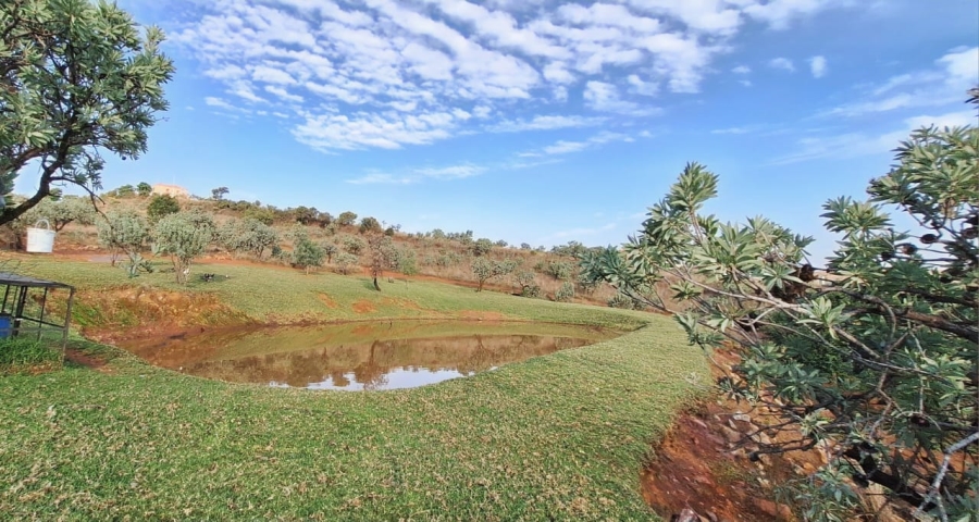 6 Bedroom Property for Sale in Protea Ridge Gauteng