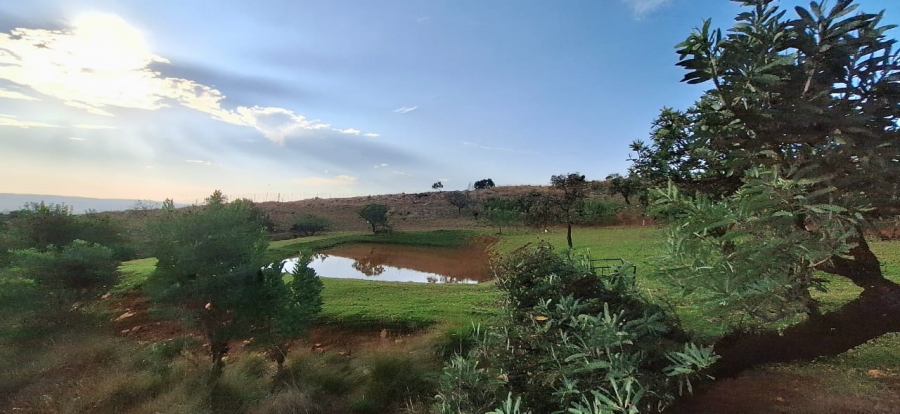 6 Bedroom Property for Sale in Protea Ridge Gauteng
