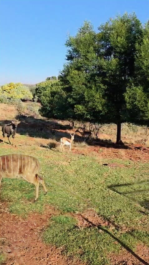 6 Bedroom Property for Sale in Protea Ridge Gauteng