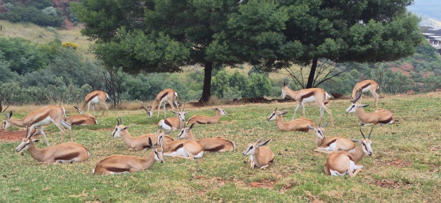 6 Bedroom Property for Sale in Protea Ridge Gauteng