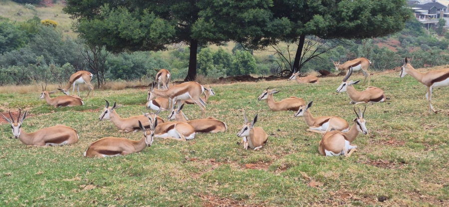 6 Bedroom Property for Sale in Protea Ridge Gauteng