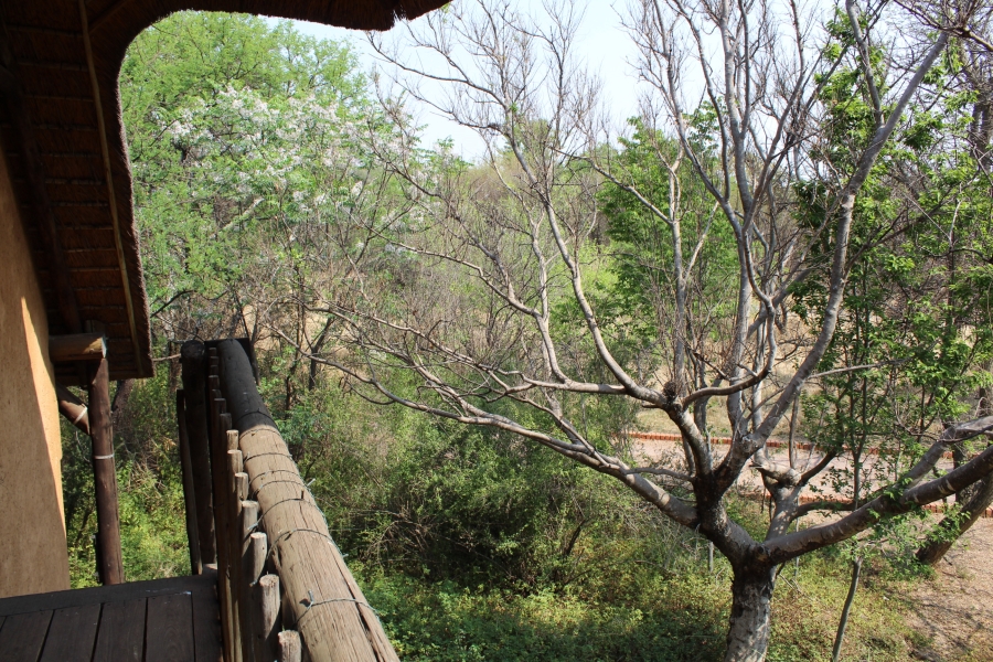 3 Bedroom Property for Sale in Leeuwfontein Gauteng
