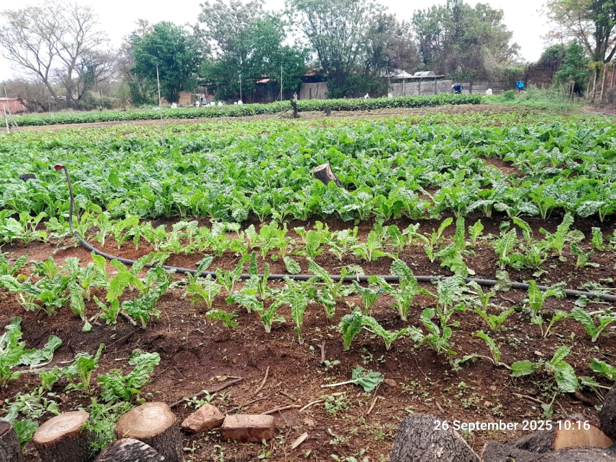 9 Bedroom Property for Sale in Pretoria North Gauteng