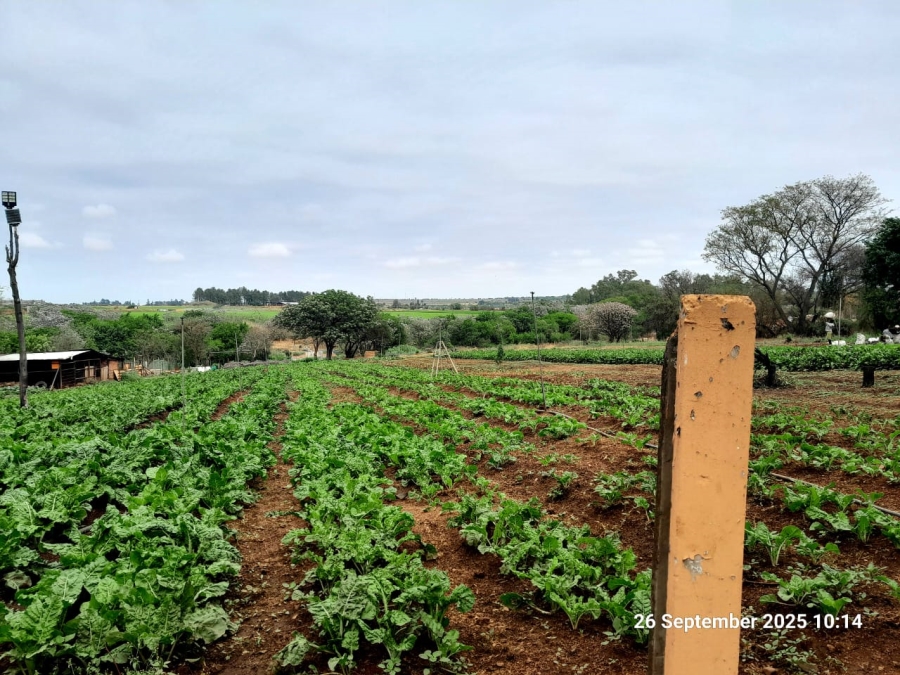 9 Bedroom Property for Sale in Pretoria North Gauteng