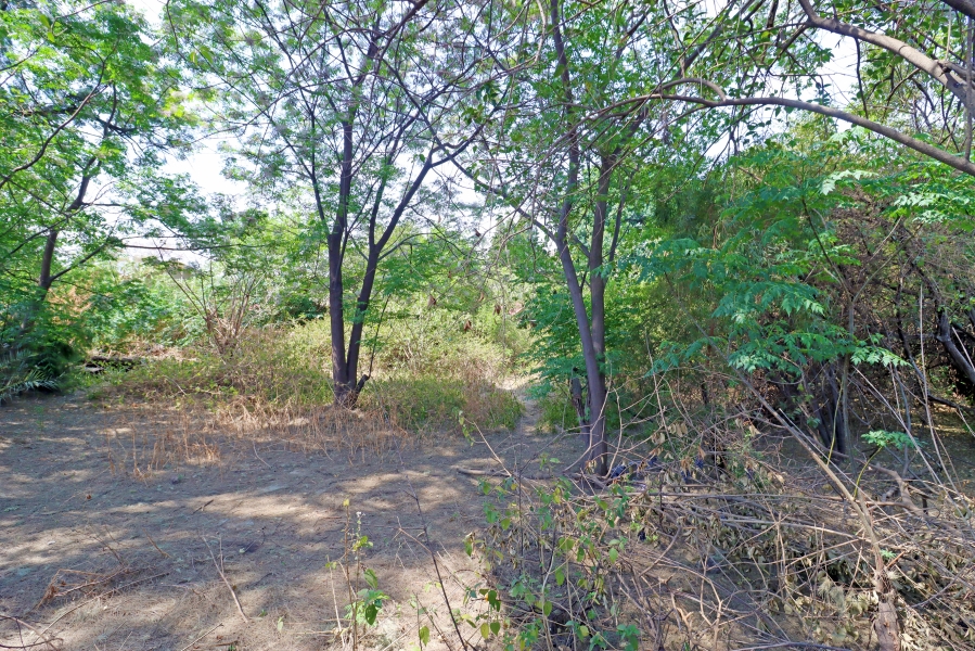 0 Bedroom Property for Sale in Kew Gauteng