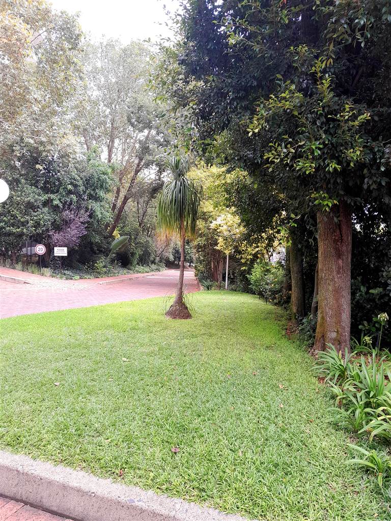 To Let 3 Bedroom Property for Rent in Sandhurst Gauteng