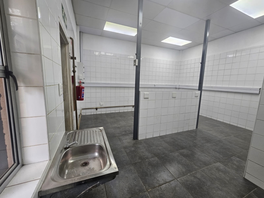 To Let commercial Property for Rent in Menlo Park Gauteng