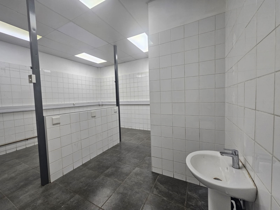 To Let commercial Property for Rent in Menlo Park Gauteng