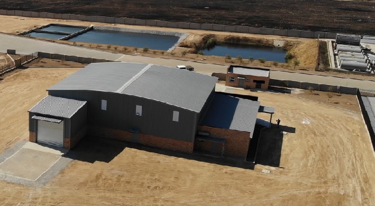 To Let commercial Property for Rent in Knoppieslaagte Gauteng