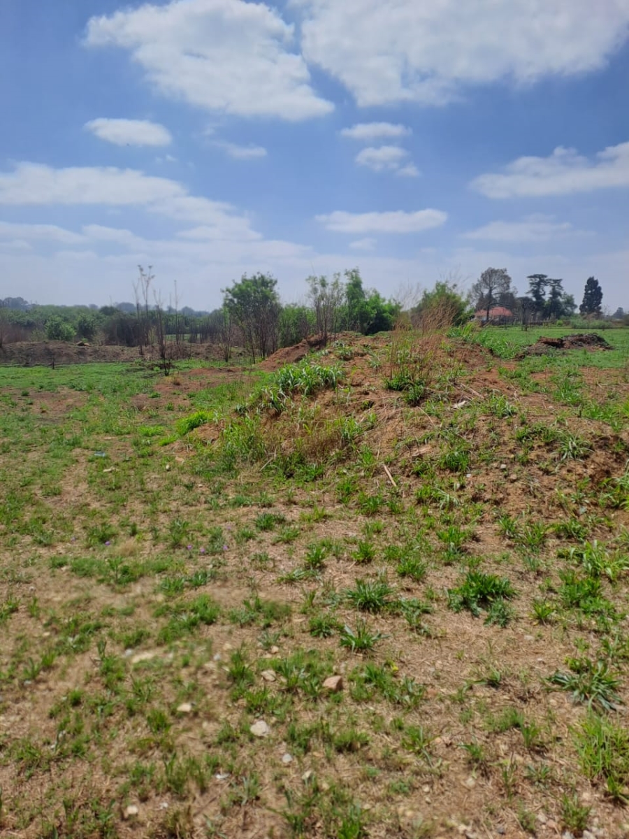 Commercial Property for Sale in Risiville Gauteng