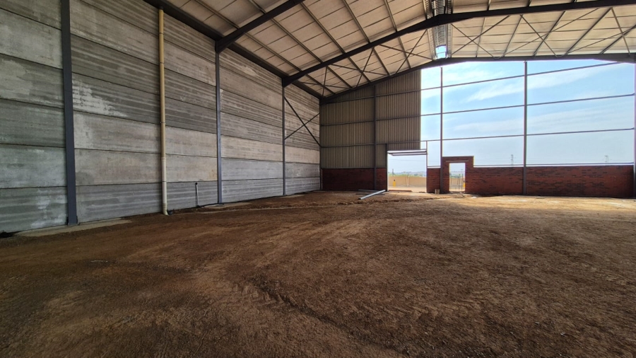 To Let commercial Property for Rent in Knoppieslaagte Gauteng
