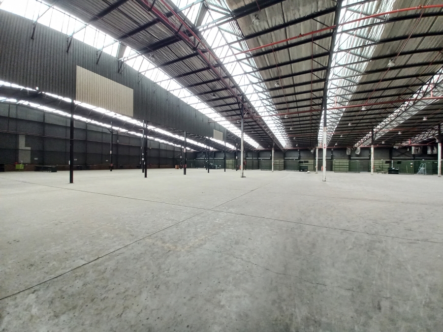 To Let commercial Property for Rent in Roodekop Gauteng