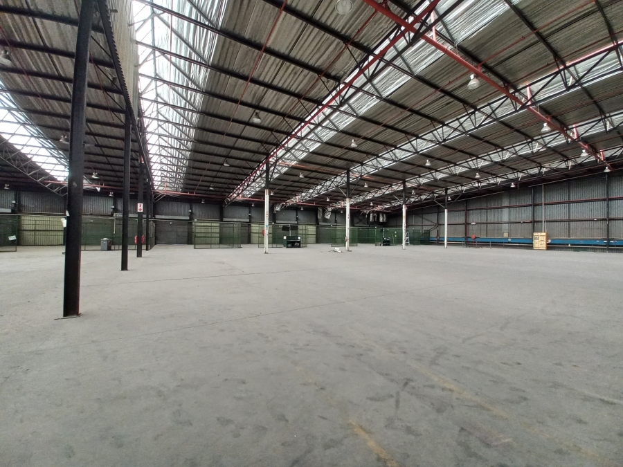 To Let commercial Property for Rent in Roodekop Gauteng