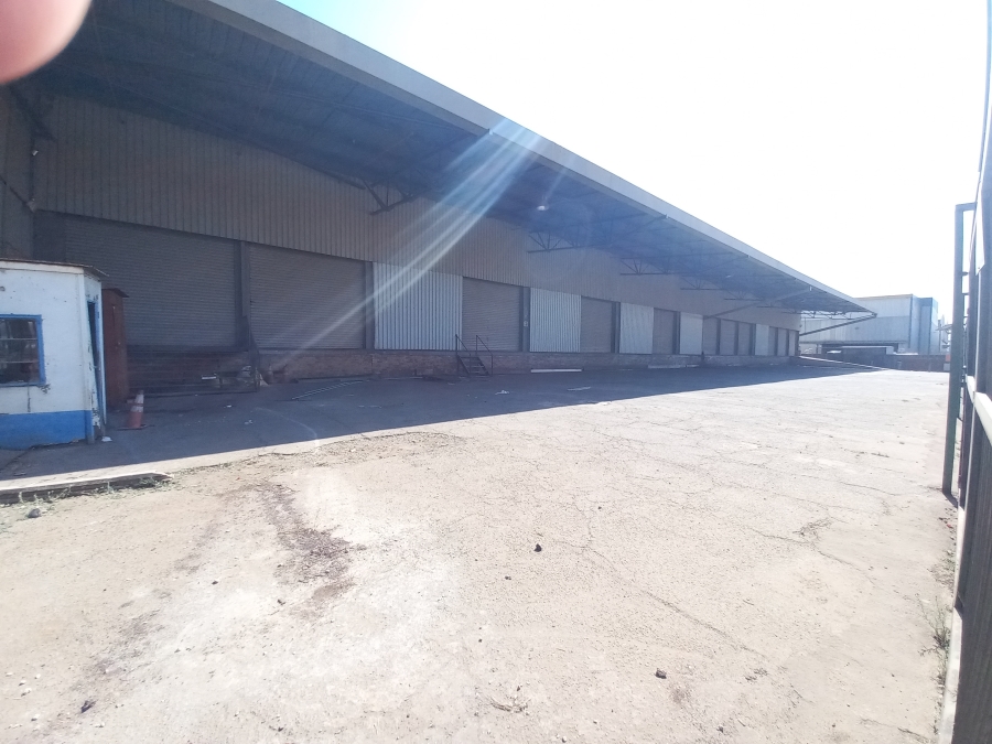 To Let commercial Property for Rent in Roodekop Gauteng