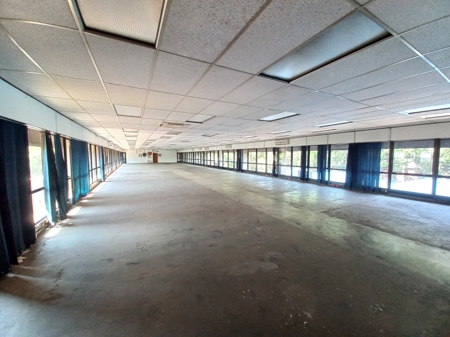 To Let commercial Property for Rent in Alrode Gauteng