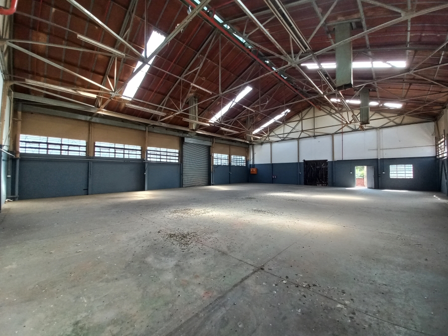To Let commercial Property for Rent in Elandsfontein Gauteng