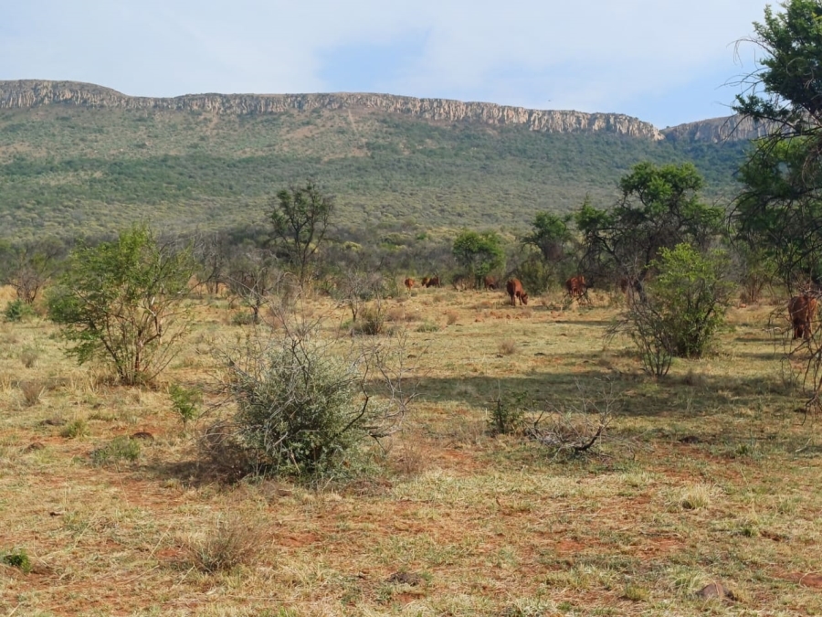 Commercial Property for Sale in Agricultural Holding 501 Gauteng