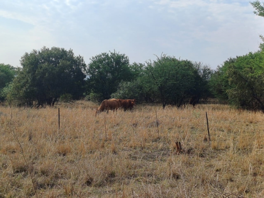 Commercial Property for Sale in Agricultural Holding 501 Gauteng