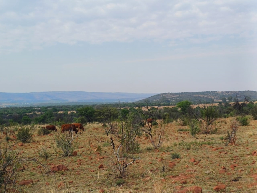 Commercial Property for Sale in Agricultural Holding 501 Gauteng