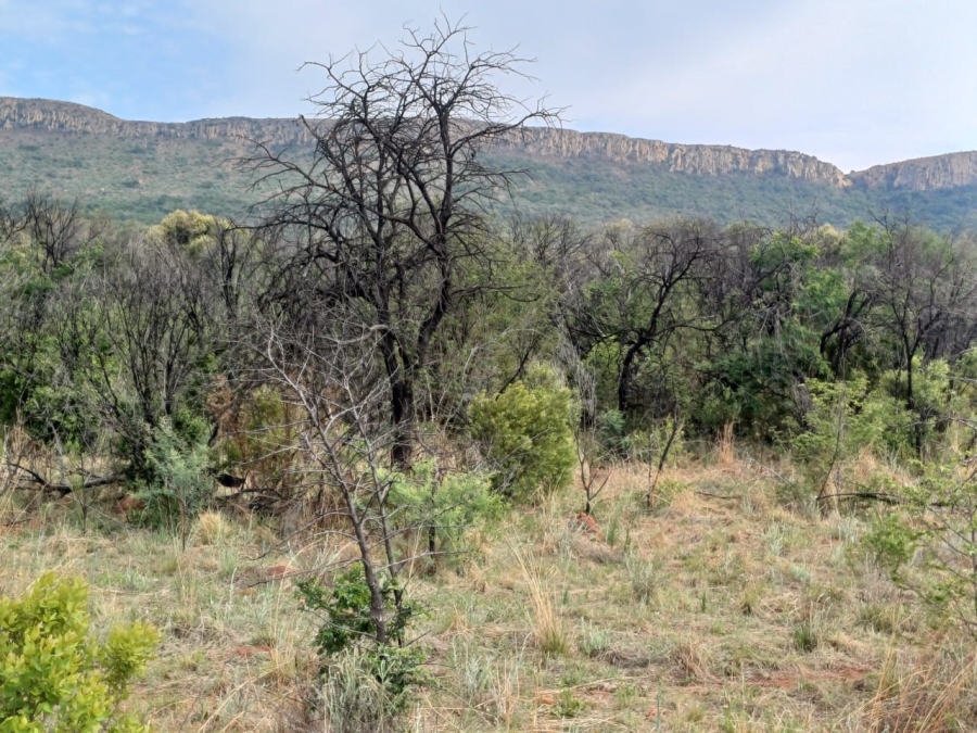 Commercial Property for Sale in Agricultural Holding 501 Gauteng