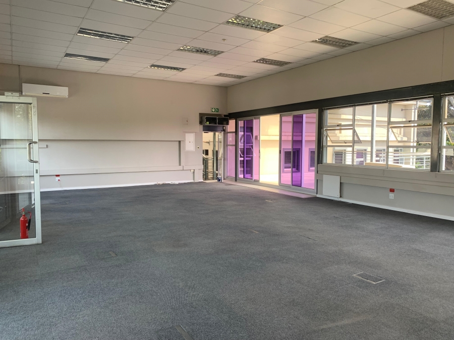 To Let commercial Property for Rent in Illovo Gauteng