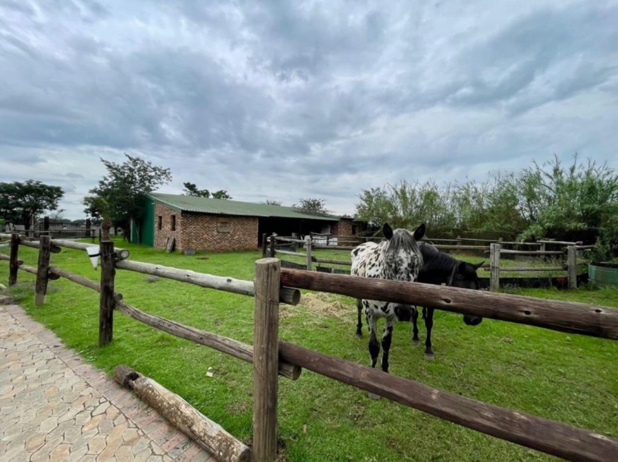 10 Bedroom Property for Sale in Homelands Gauteng