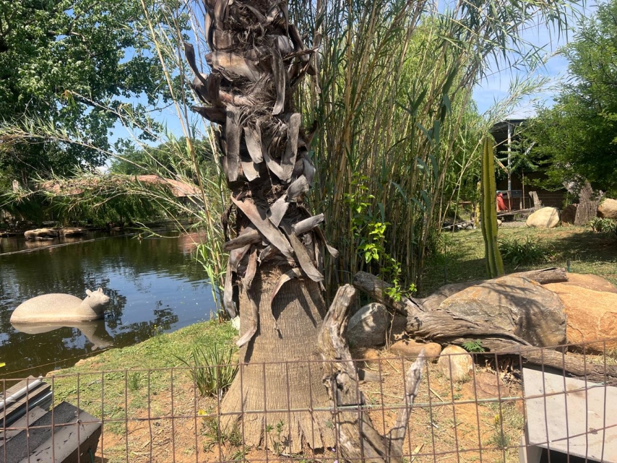 10 Bedroom Property for Sale in Homelands Gauteng