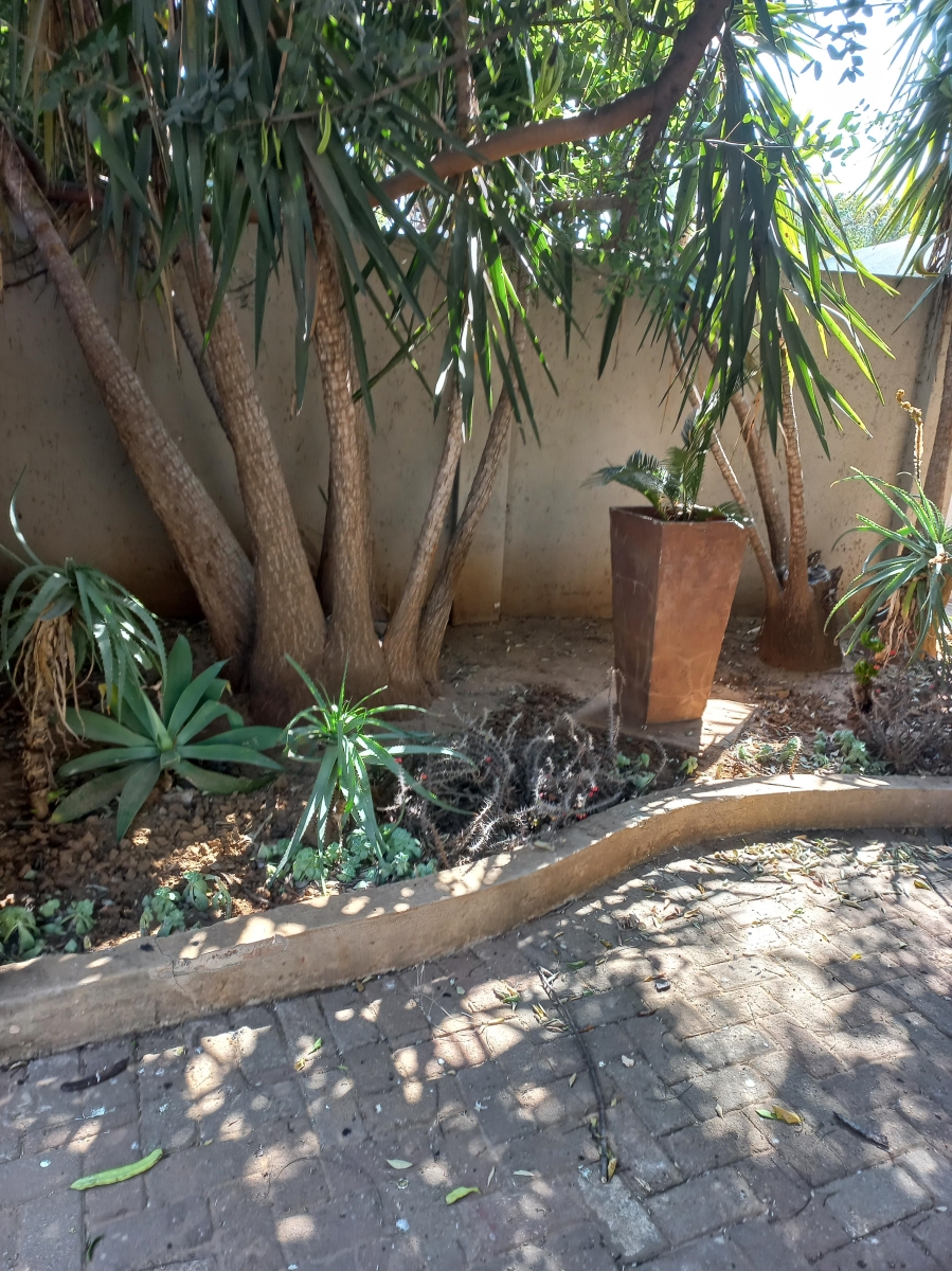 To Let commercial Property for Rent in Wierda Park Gauteng