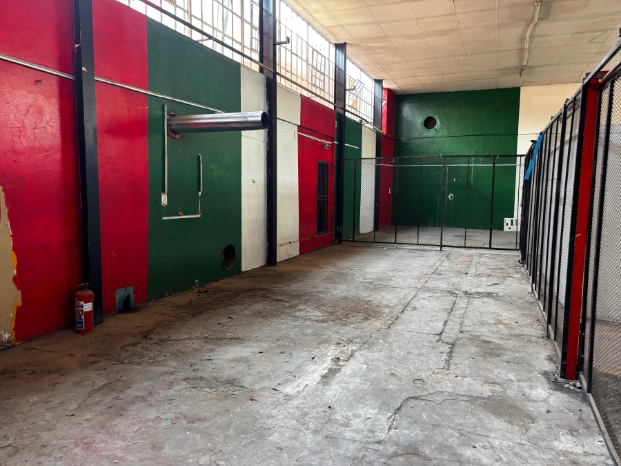 To Let commercial Property for Rent in Martindale Gauteng