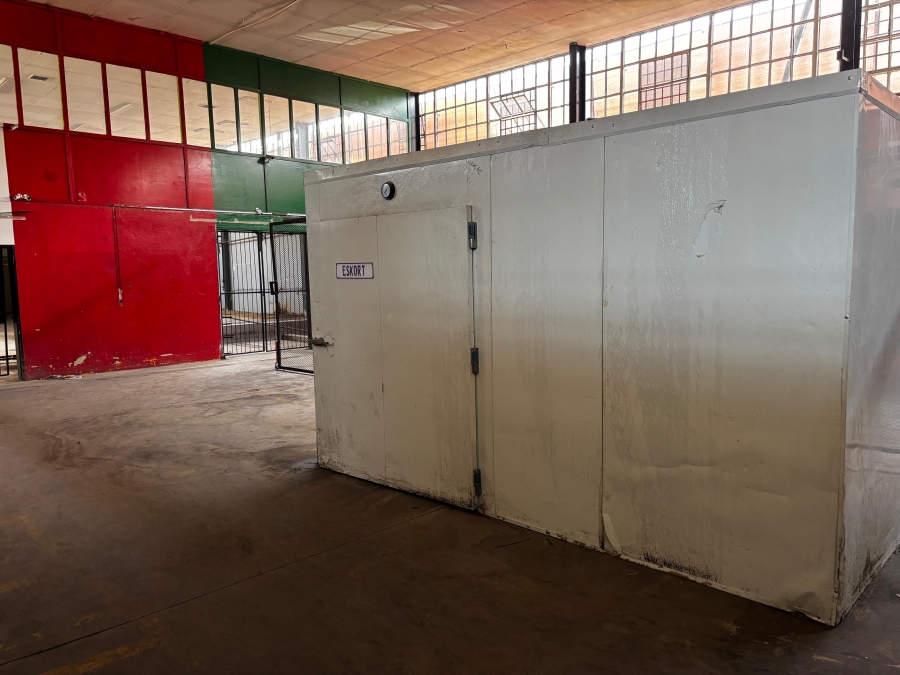 To Let commercial Property for Rent in Martindale Gauteng