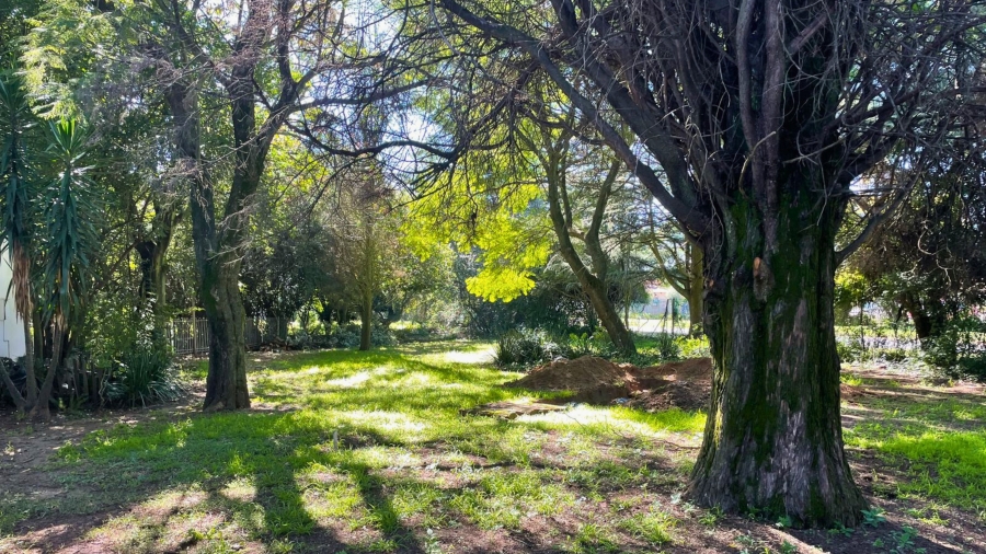 3 Bedroom Property for Sale in Rynfield Gauteng