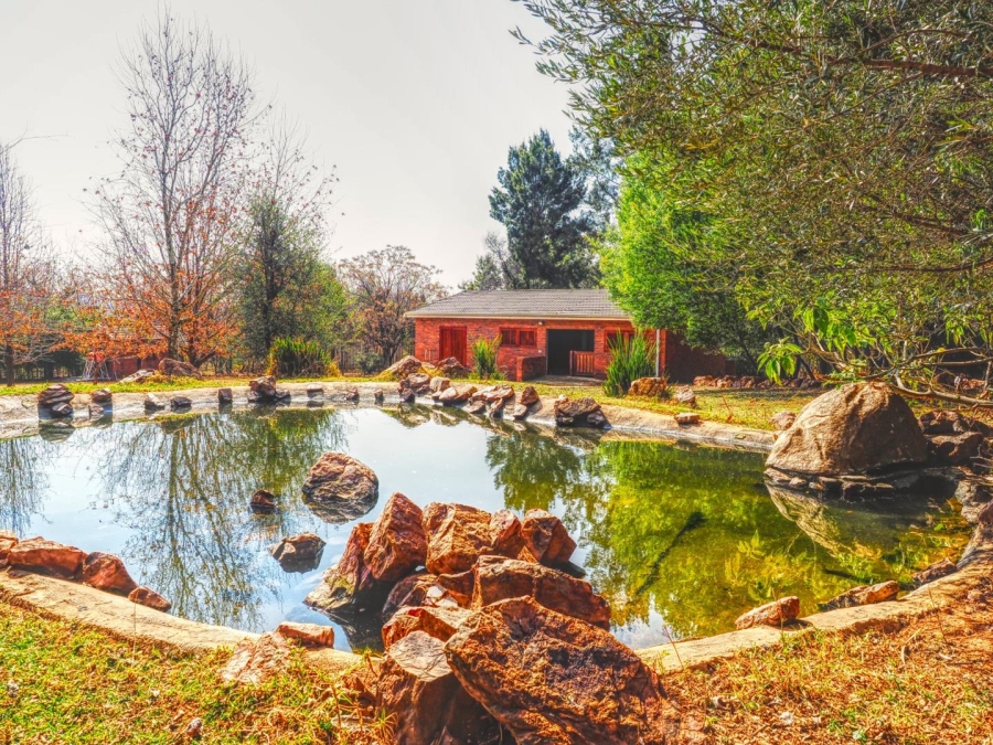 4 Bedroom Property for Sale in Blue Saddle Ranches Gauteng