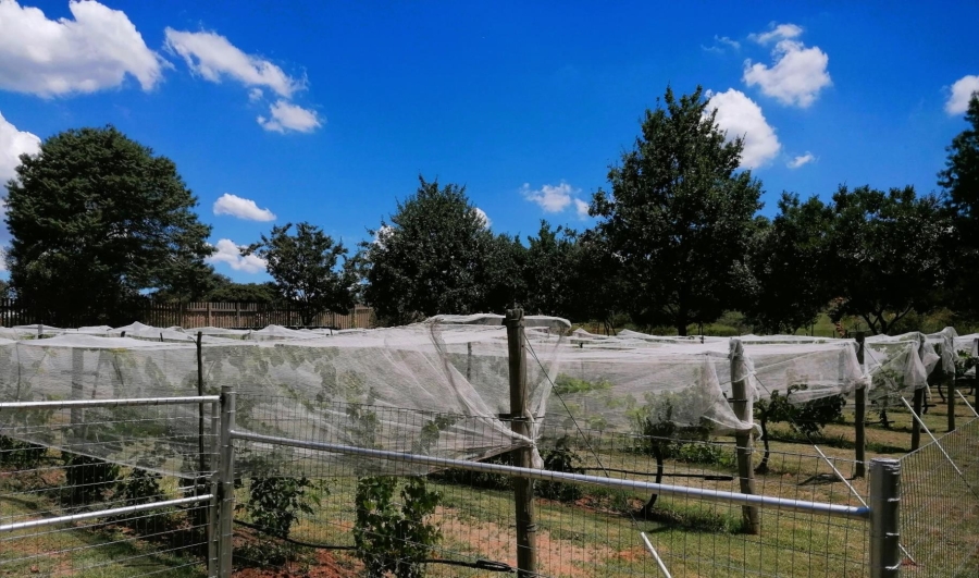 4 Bedroom Property for Sale in Blue Saddle Ranches Gauteng