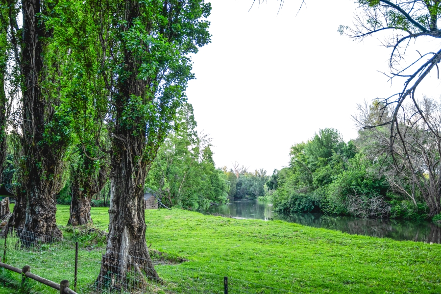 4 Bedroom Property for Sale in Henley on Klip Gauteng