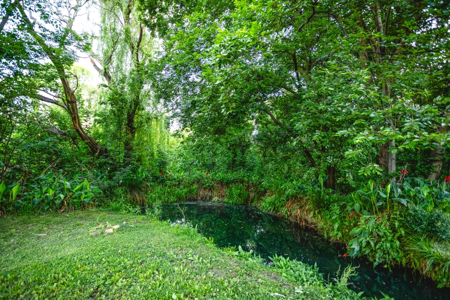 4 Bedroom Property for Sale in Henley on Klip Gauteng