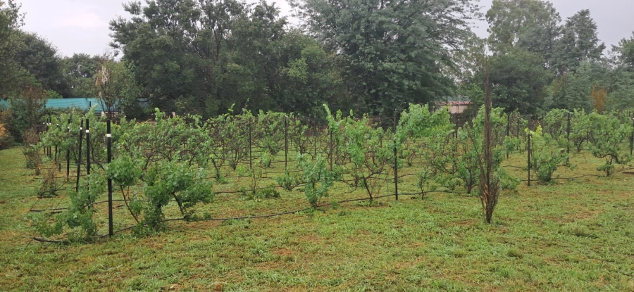 0 Bedroom Property for Sale in Henley on Klip Gauteng