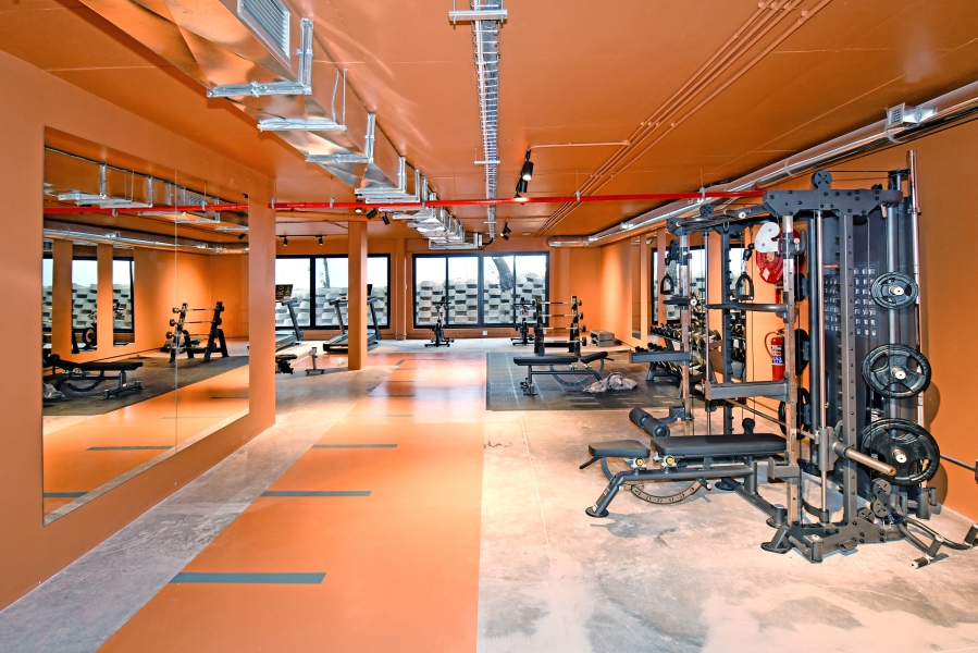 To Let 1 Bedroom Property for Rent in Morningside Gauteng