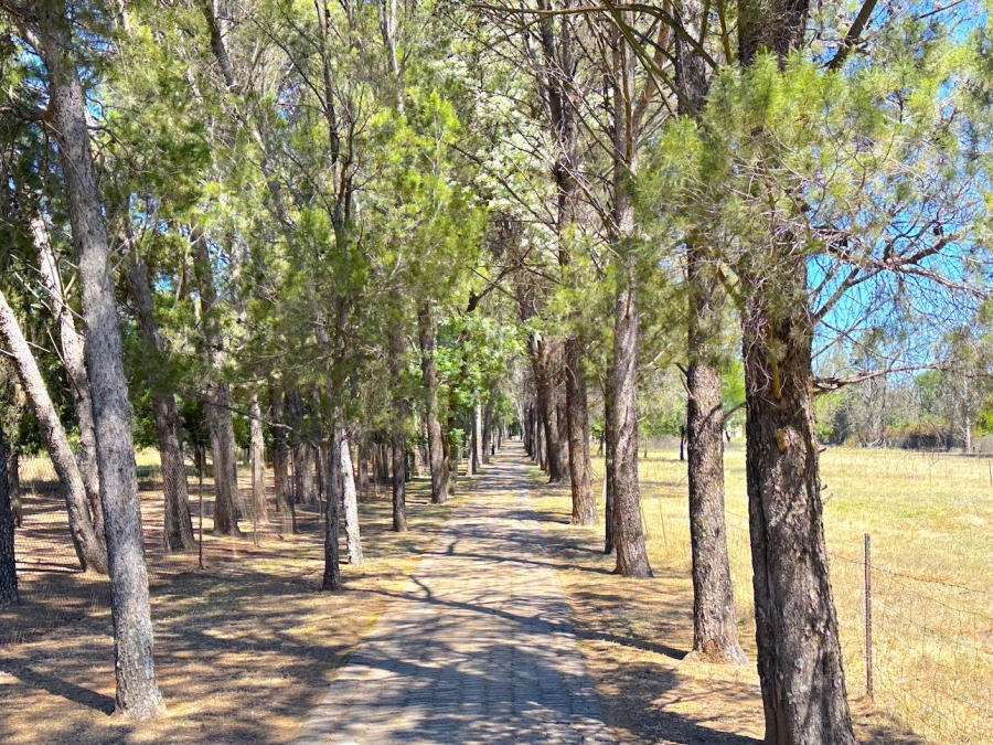 4 Bedroom Property for Sale in Kaalplaats Gauteng