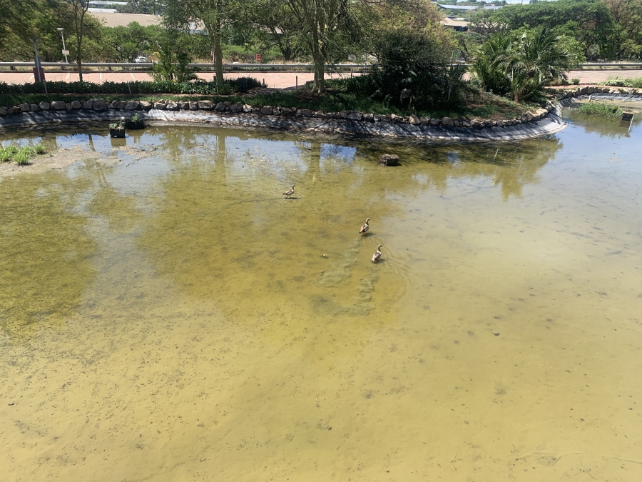 To Let commercial Property for Rent in Woodmead Gauteng