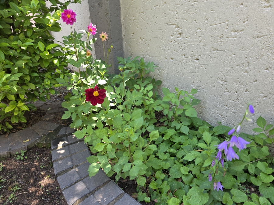 To Let 0 Bedroom Property for Rent in Hurlingham Manor Gauteng