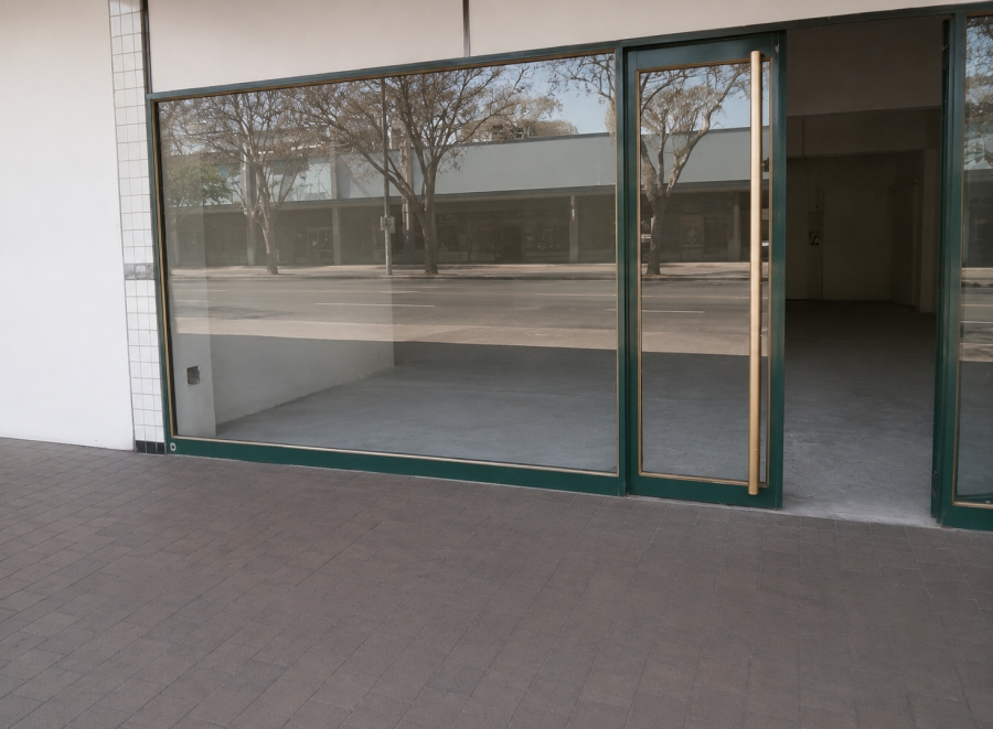 To Let Commercial Property for Rent in Arcadia Gauteng
