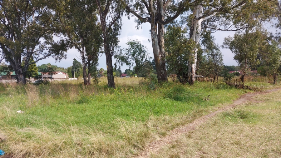 0 Bedroom Property for Sale in Modder East Gauteng
