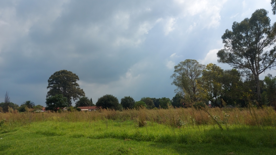 0 Bedroom Property for Sale in Modder East Gauteng