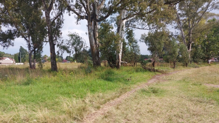 0 Bedroom Property for Sale in Modder East Gauteng