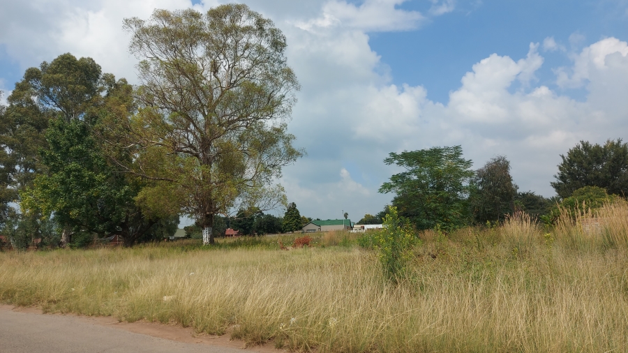 0 Bedroom Property for Sale in Modder East Gauteng