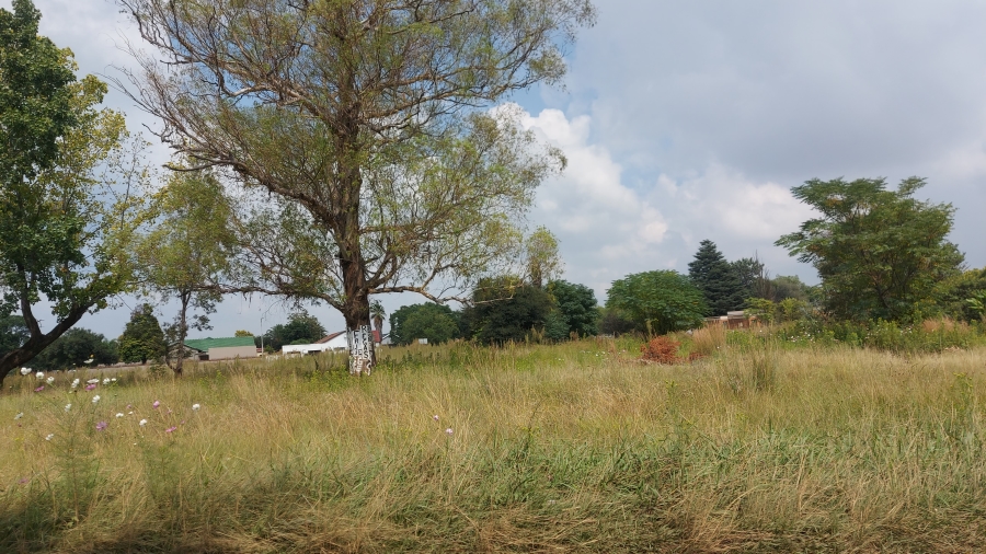 0 Bedroom Property for Sale in Modder East Gauteng